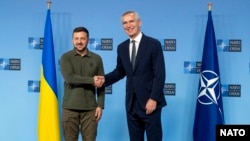 Генсек НАТО Йенс Столтенберг приветствует президента Украины Владимира Зеленского в штаб-квартире альянса в Брюсселе 27 июня 2024 года